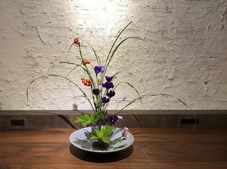 IMG_7937.JPG