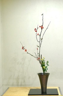 IMG_8493.jpg