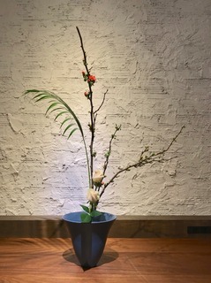 IMG_8940.jpg