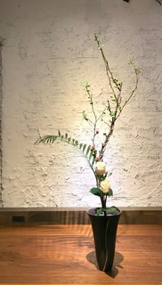 IMG_8943.jpg