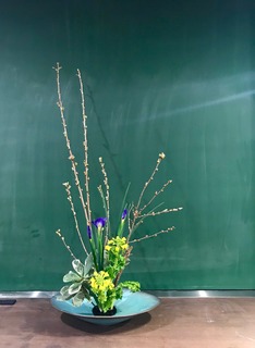 IMG_9144.jpg