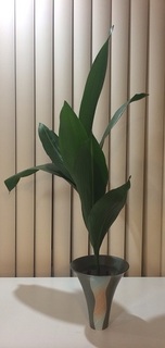 photo2.jpg